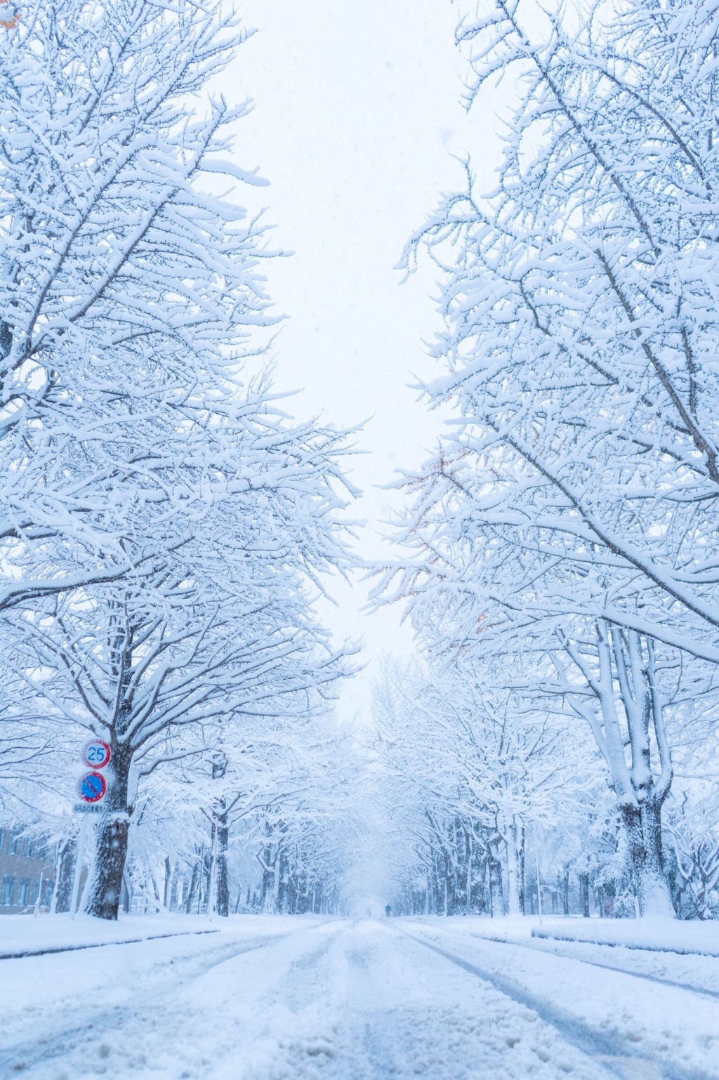 下雪天美景图片